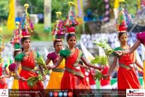 12080045_10154299769669251_6072891821528264766_o